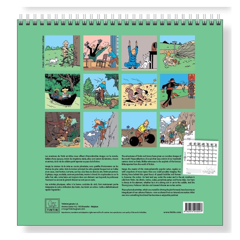 Books & Stationery - Tintin - Large Calendar Tintin 2026